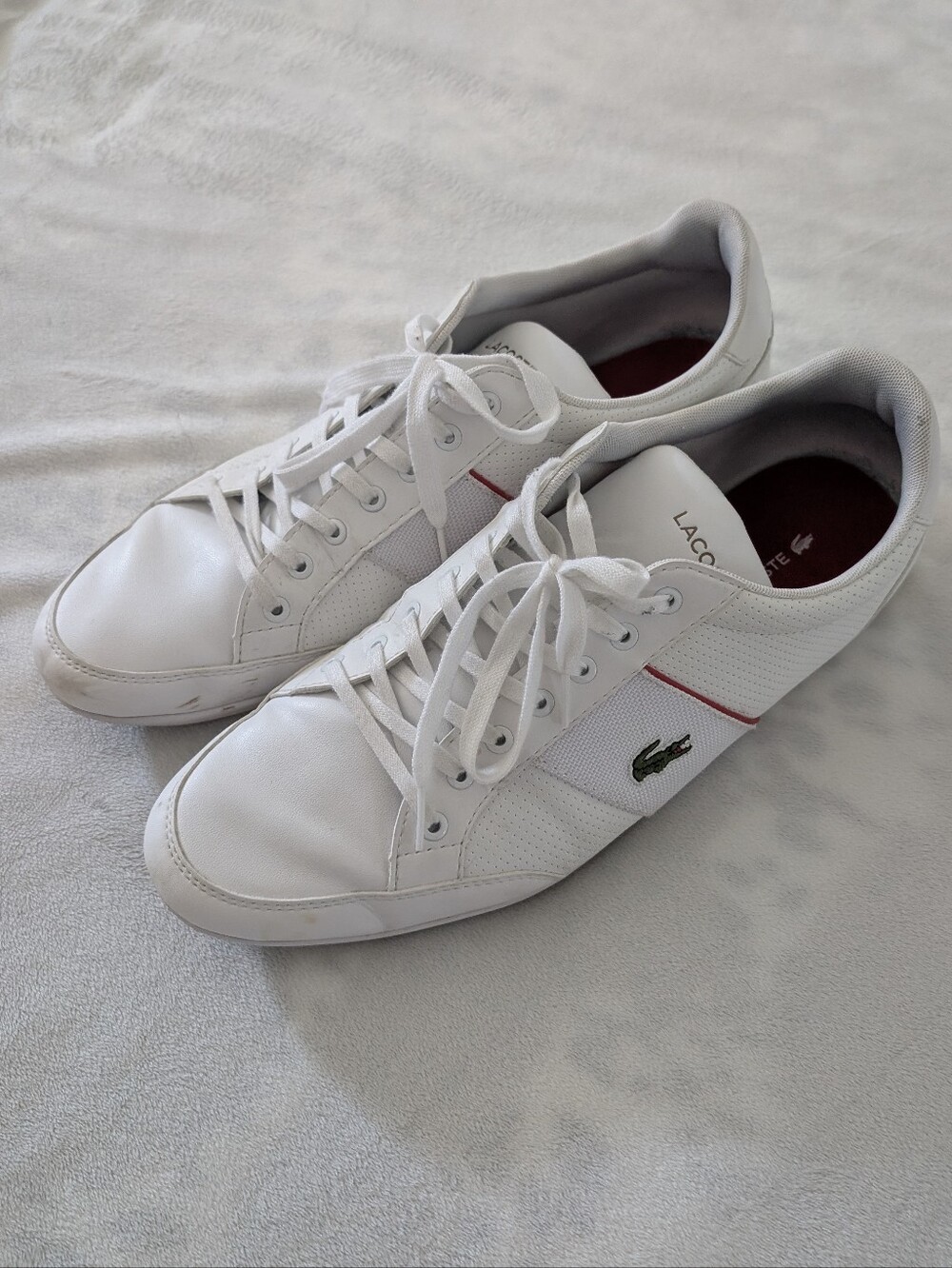 Lacoste Men Sneakers